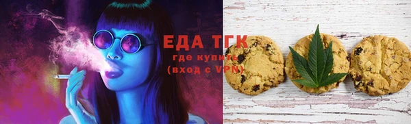 индика Балахна