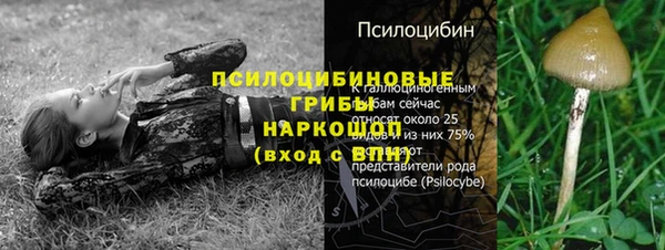 MDMA Premium VHQ Арсеньев