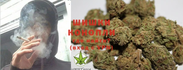 индика Балахна
